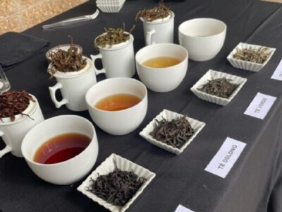 «La Expo Té Argentina se ha vuelto la vidriera del té»