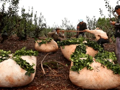 «Ya no podemos seguir esperando». Tareferos realizarán cortes de ruta