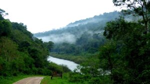 «Moconá debe ser el municipio número 80»