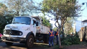 Inició el operativo integral de podas en la ciudad