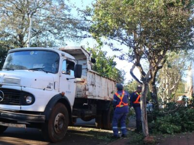 Inició el operativo integral de podas en la ciudad