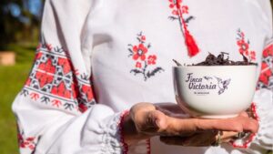 Finca Victoria te ofrece vivir la Experiencia de té artesanal y el contacto con la naturaleza