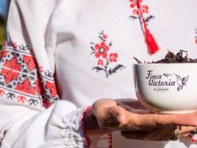Finca Victoria te ofrece vivir la Experiencia de té artesanal y el contacto con la naturaleza