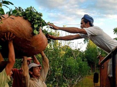 Padolski: «Brindar a la provincia la herramienta para que pueda defender a la familia agraria»