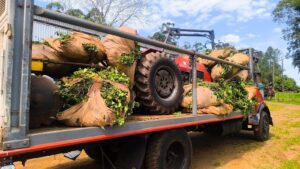 Volvió el tractorazo: «No les interesa lo que les pasa a los productores”