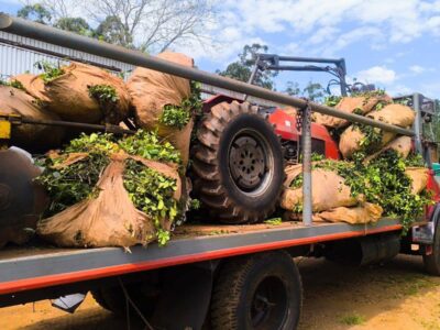 Volvió el tractorazo: «No les interesa lo que les pasa a los productores”