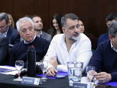 González planteó ante Nación la necesidad de mayor participación de las provincias en las decisiones sanitarias