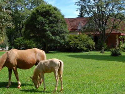 Misiones presentó su nuevo mapa de turismo rural con más de 100 emprendimientos registrados