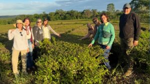Especialista en té recorre Misiones para conocer a los productores de la tierra colorada